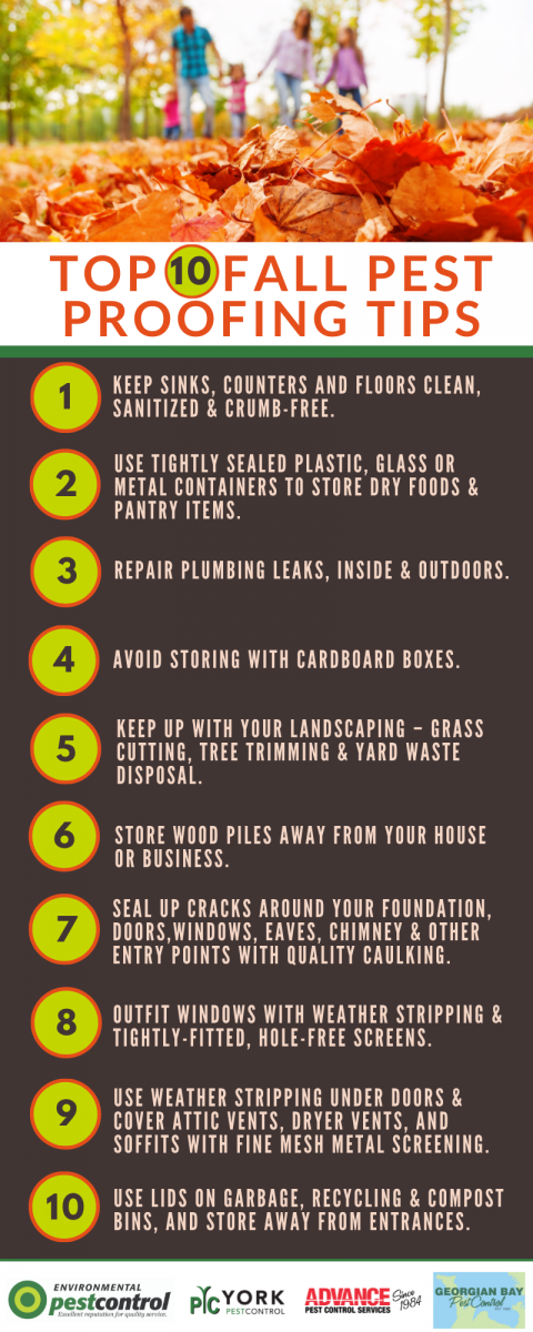 An infographic with 10 tips for DIY Fall pest proofing your home