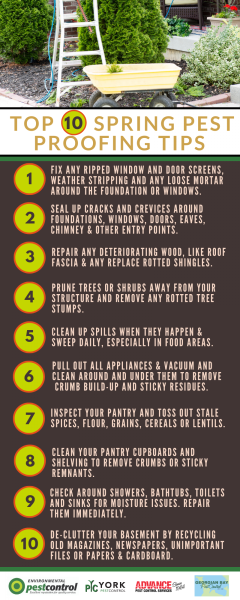 10 tips for pest proofing your home in the spring