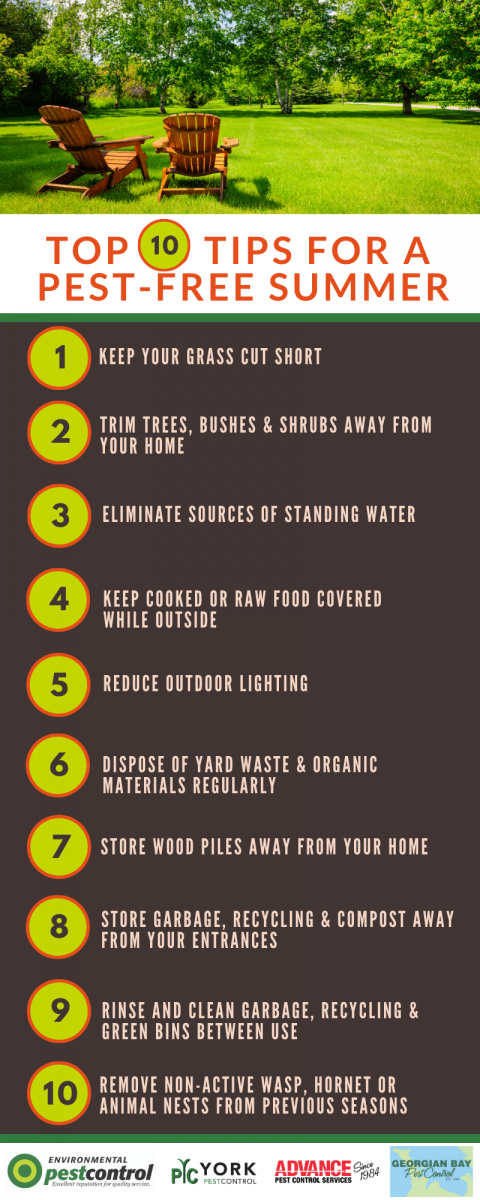 An infographic that lists 10 things you can do to prevent summer pests.